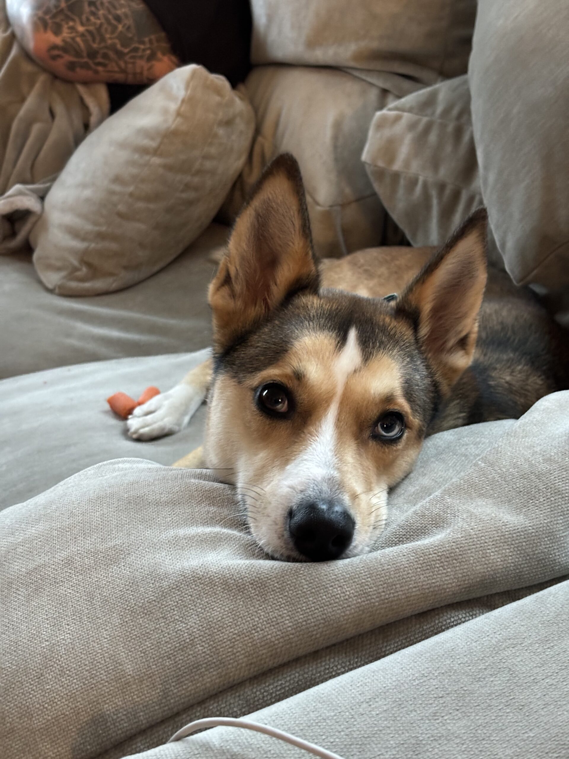 8 readers share photos of when they felt beautiful