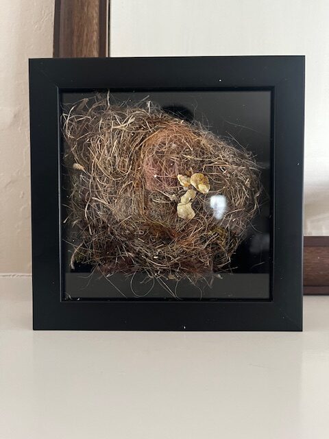 10 Readers Share Sentimental Items They&rsquo;ve Framed