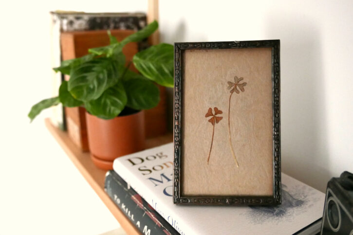 10 Readers Share Sentimental Items They’ve Framed