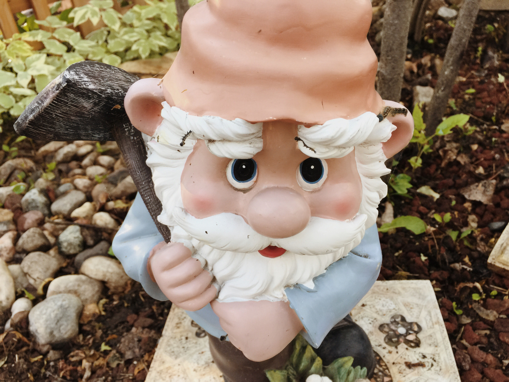 garden gnome
