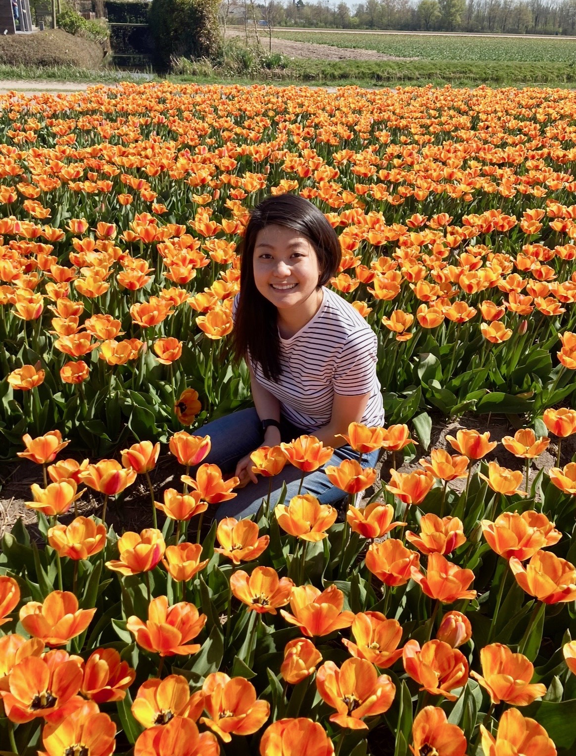 What it's like living in Amsterdam