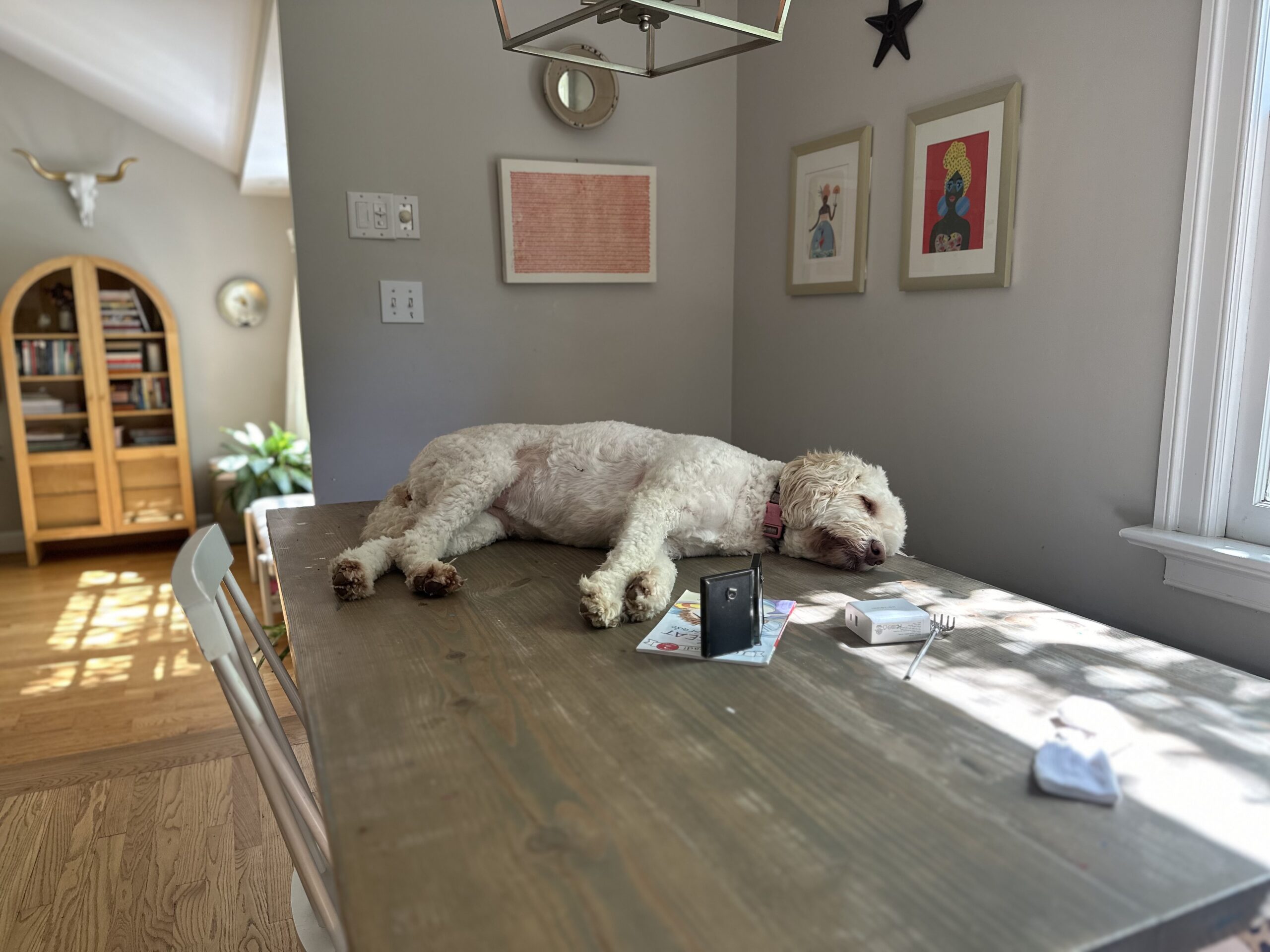 Cup of Jo readers share their cozy corners