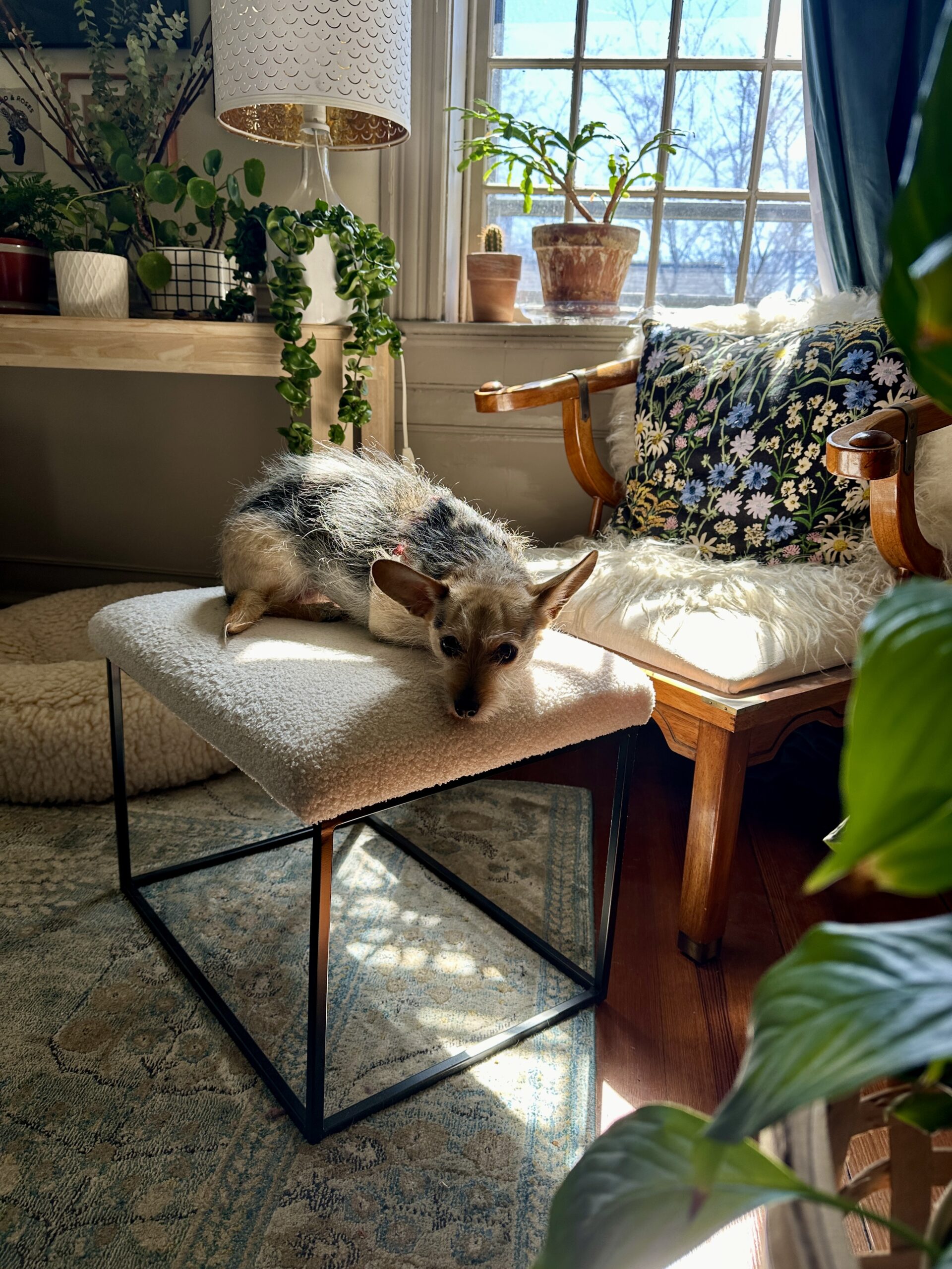 Cup of Jo readers cozy corners