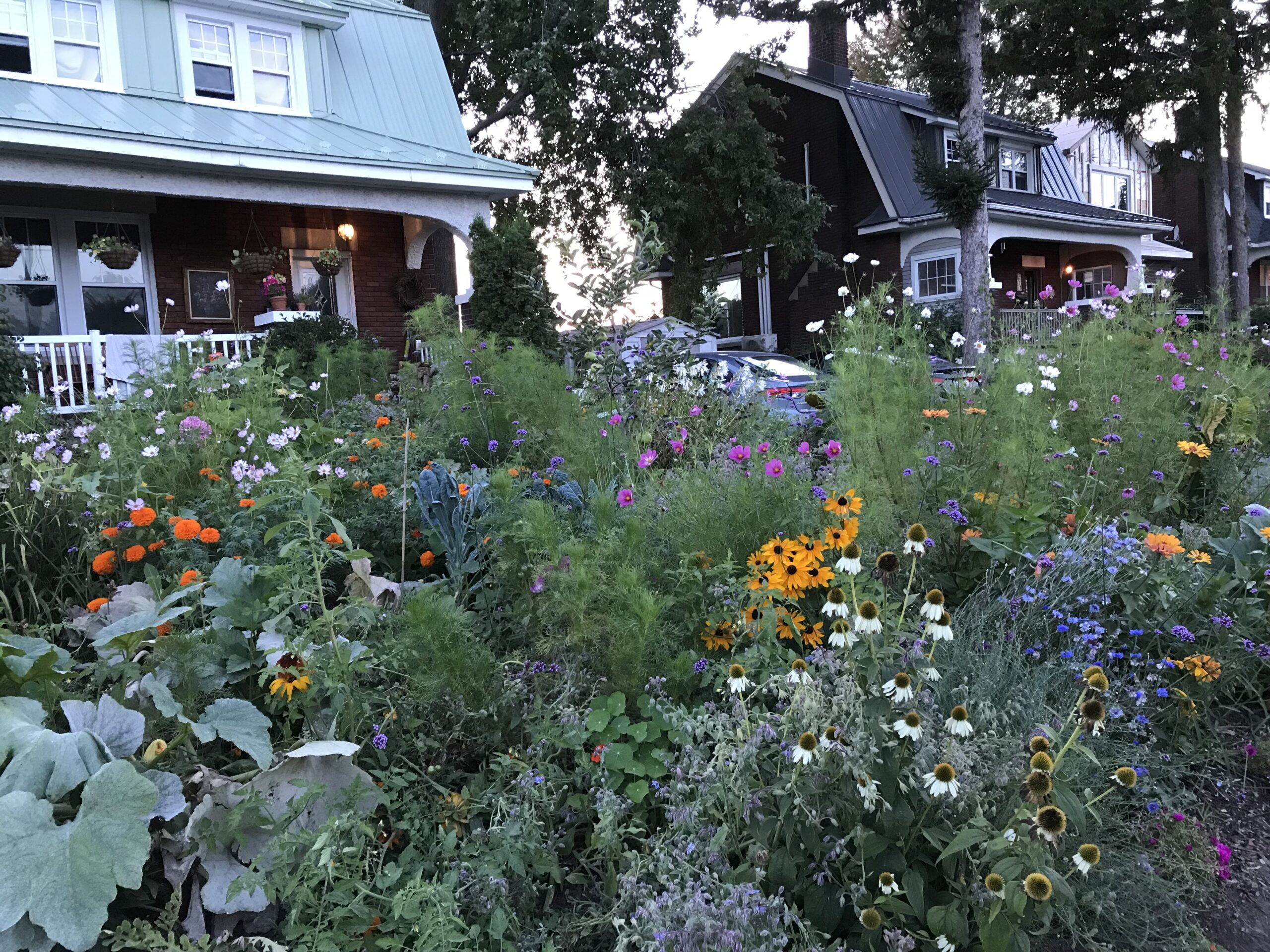 women who live alone