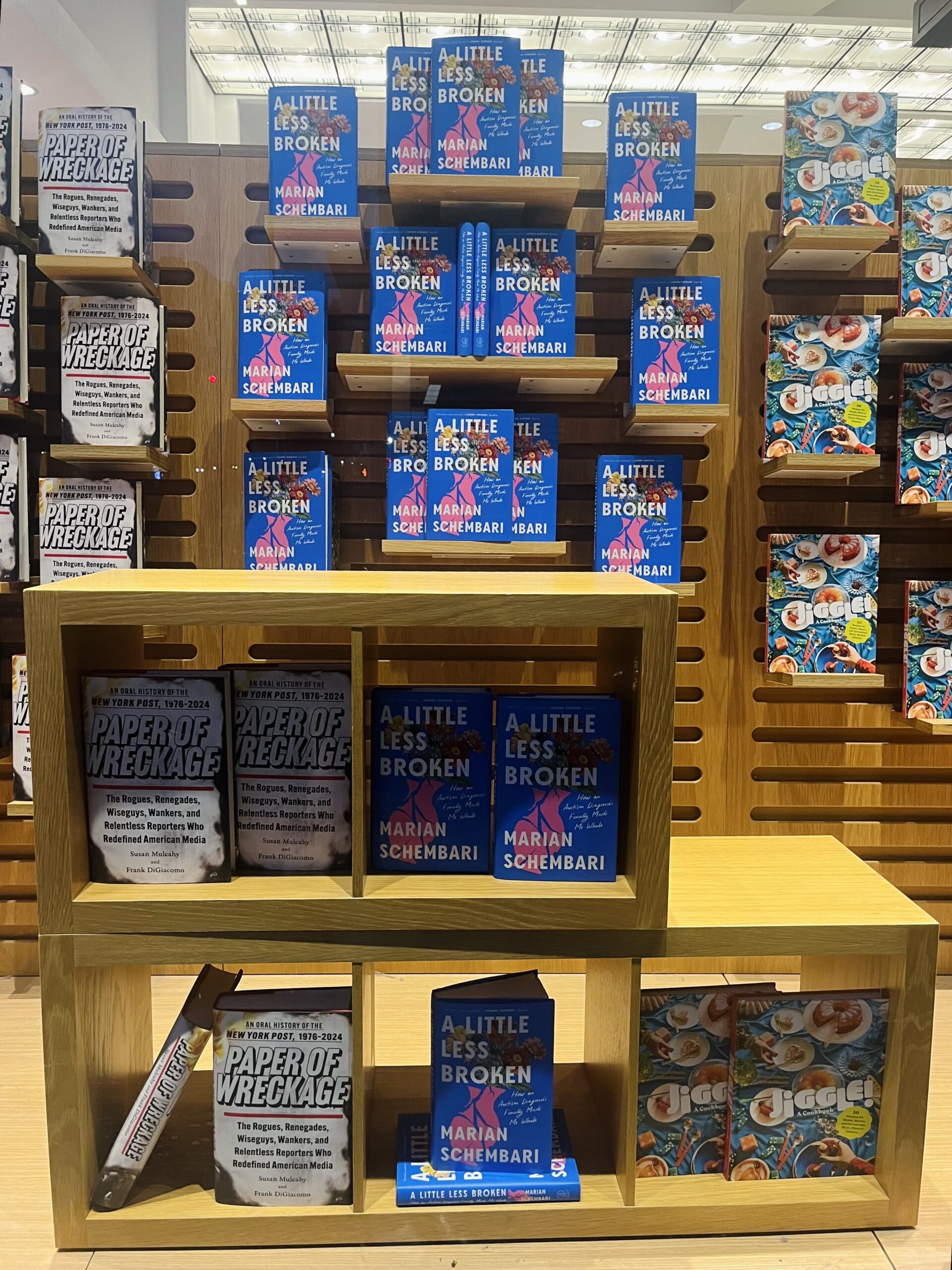 a little less broken autism memoir Marian schembari