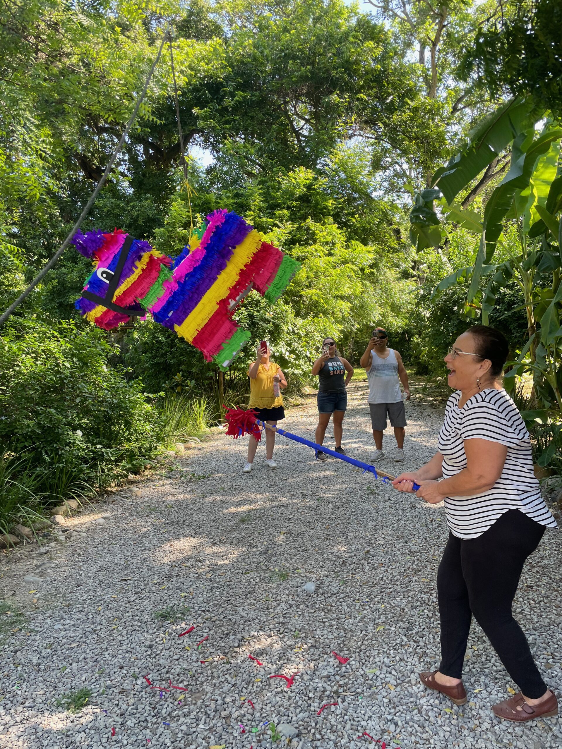 pi&ntilde;atas in Mexico