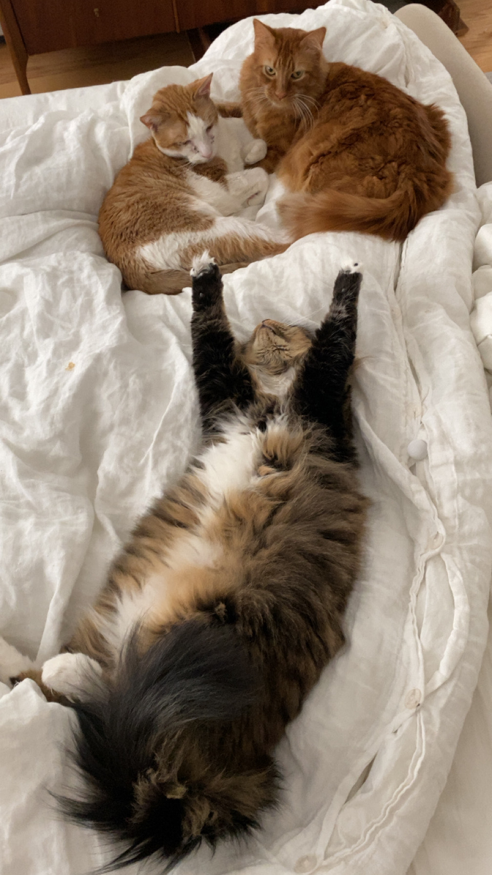 Cup of Jo Readers Share Happy Moments