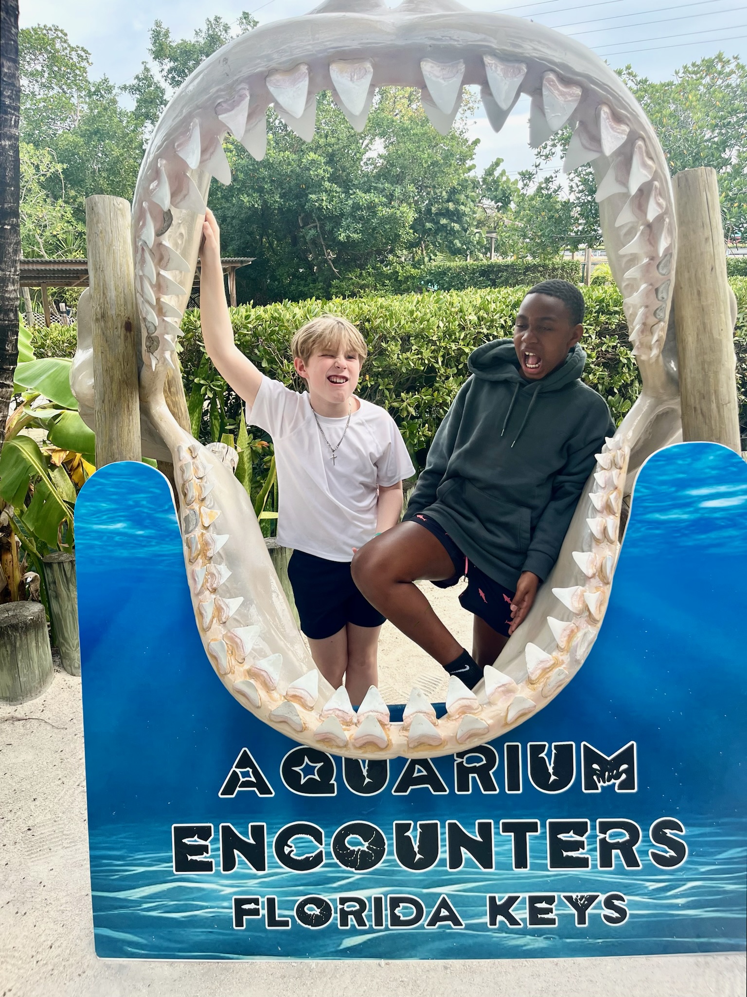 aquarium encounters Florida keys