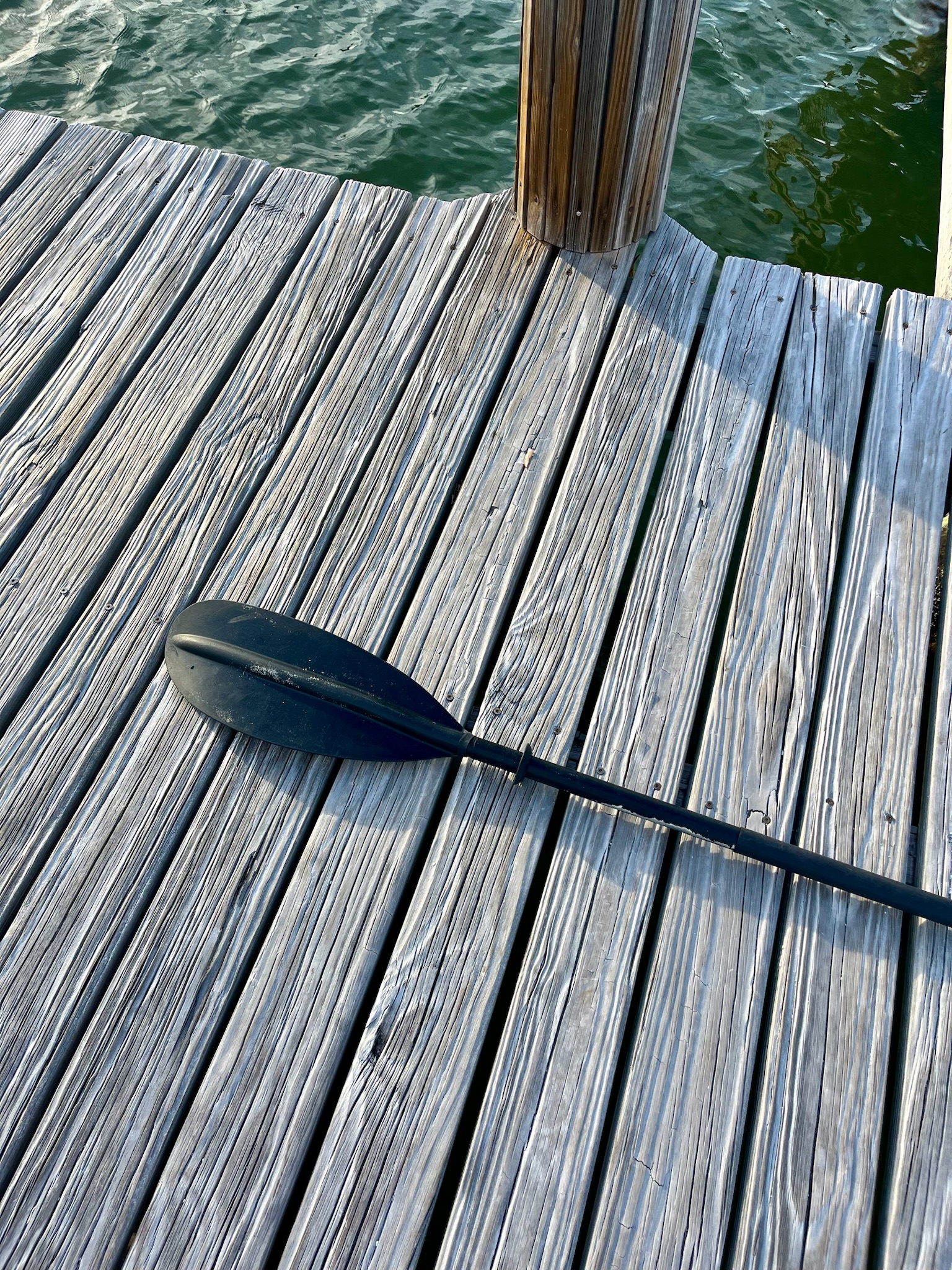 coconut palm inn key largo florida