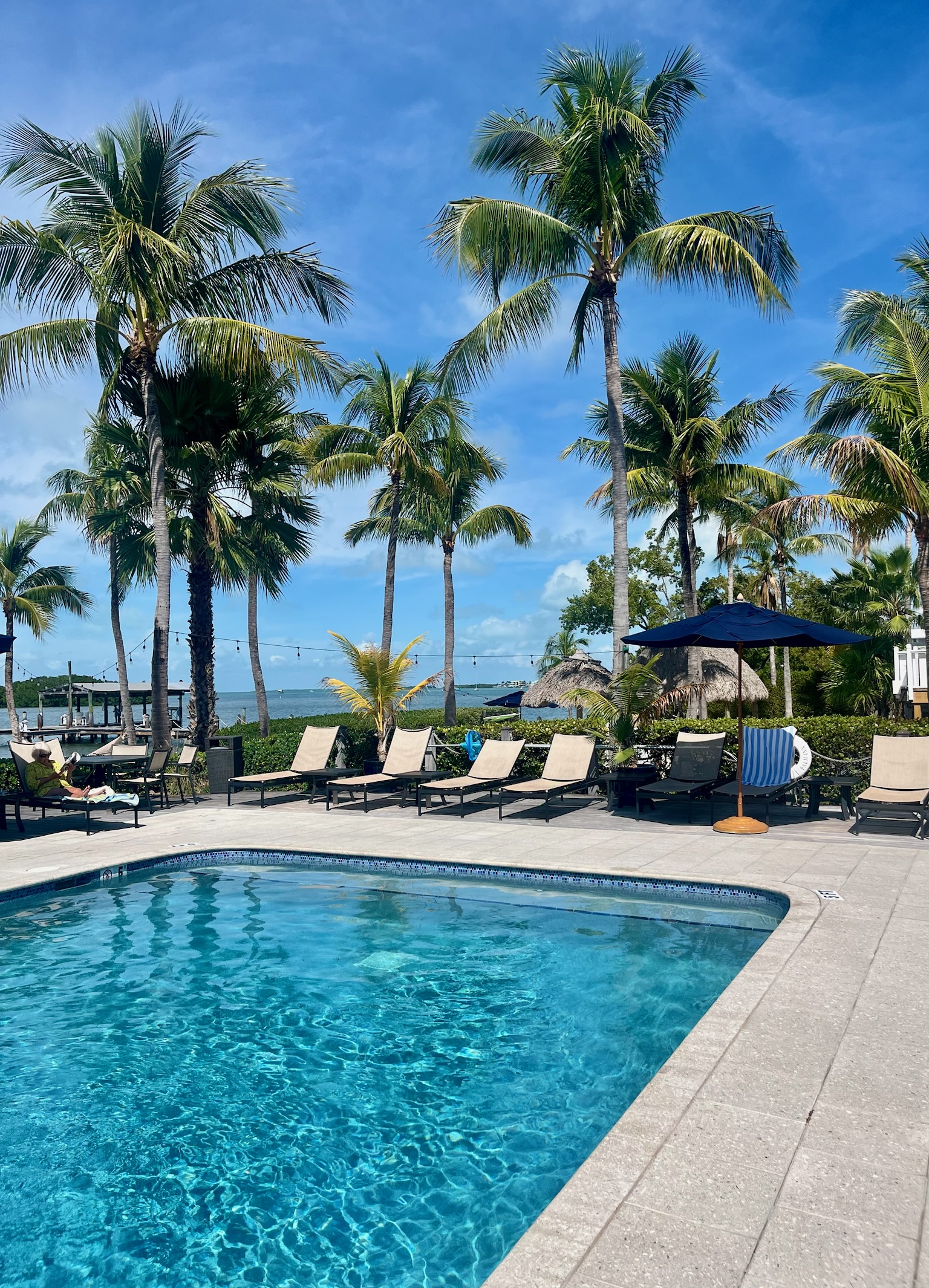 coconut palm inn key largo Tavernier pool