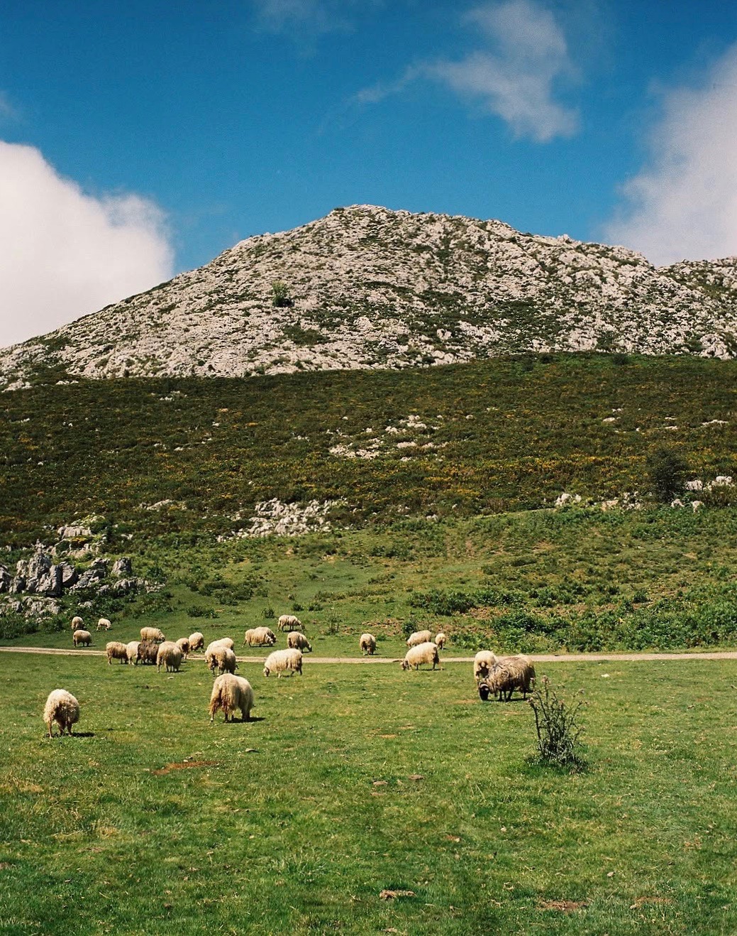 Babaà discount code Cup of Jo