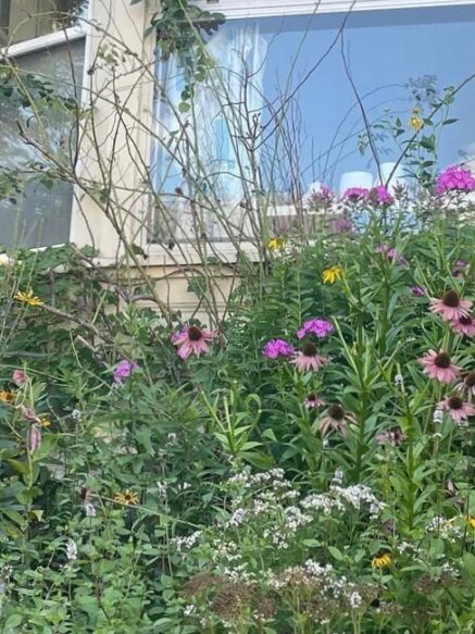 Living in Portland Maine